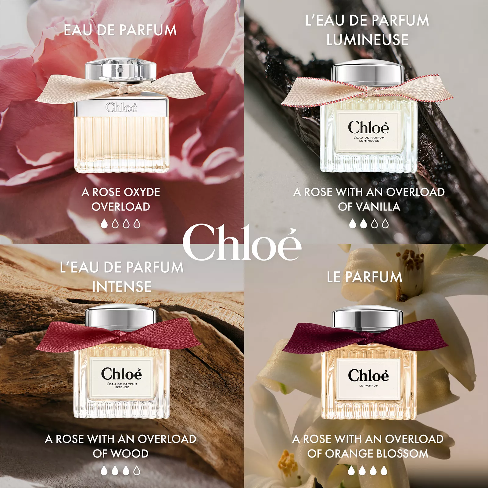 Chloe Eau de Parfum 2.5Oz