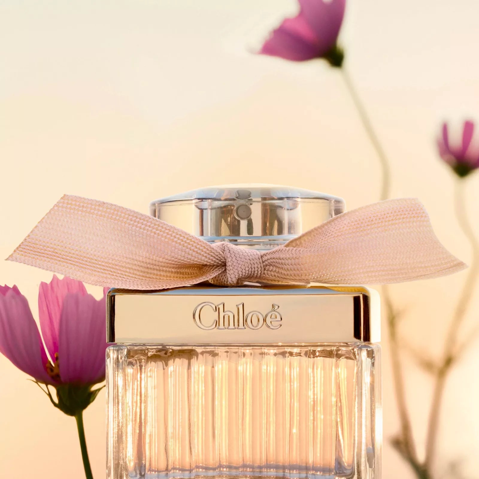 Chloe Eau de Parfum 2.5Oz